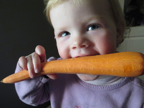 A young child smiles and eats a carrot - better than candy